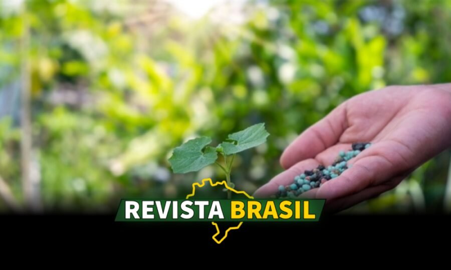 Brasil importa 85% dos fertilizantes e expõe grave fragilidade do agronegócio nacional