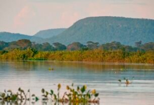 Cerrado brasileiro perdeu 13,9 milhões de hectares de margens de rios
