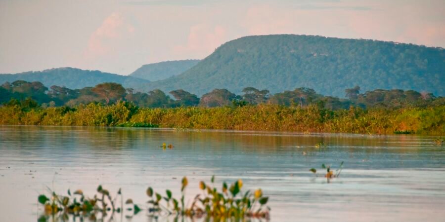 Cerrado brasileiro perdeu 13,9 milhões de hectares de margens de rios