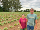 Família Timm é produtora de tabaco em Turuçu, com cerca de sete hectares voltados à plantação da cultura. (Foto: Adilson Cruz/JTR)
