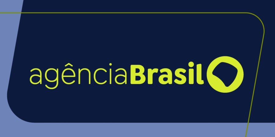 Ibama apaga 229 incêndios no Amazonas e segue no combate ao fogo