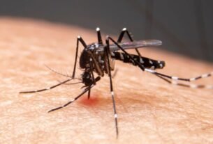 Mudanças climáticas já causam aumento de doenças infecciosas no país